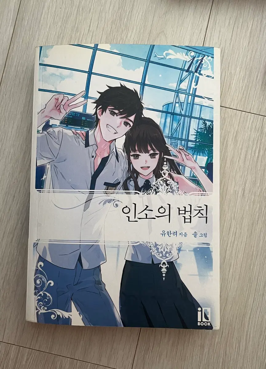 인소의 법칙 소설 11권
