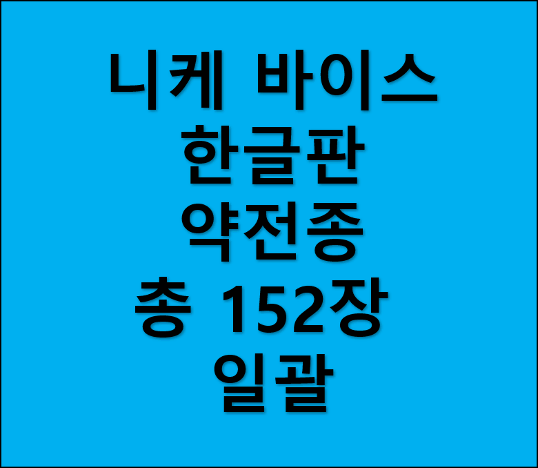 바이스 슈발츠 니케 rr이하 152장 일괄 판매합니다. 한글판