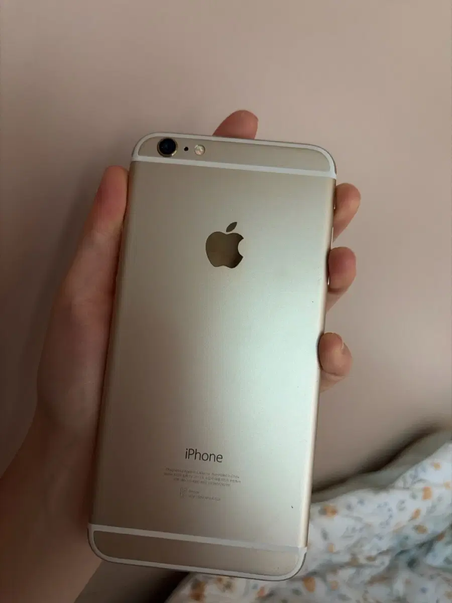 아이폰6+