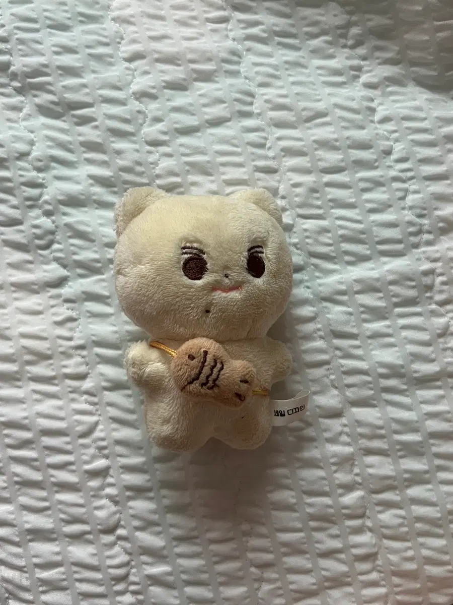 엔하이픈 양정원 인형 양짱이 붕어빵