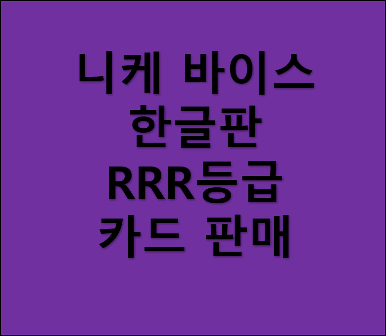 바이스 슈발츠 니케 RRR 한글판 판매