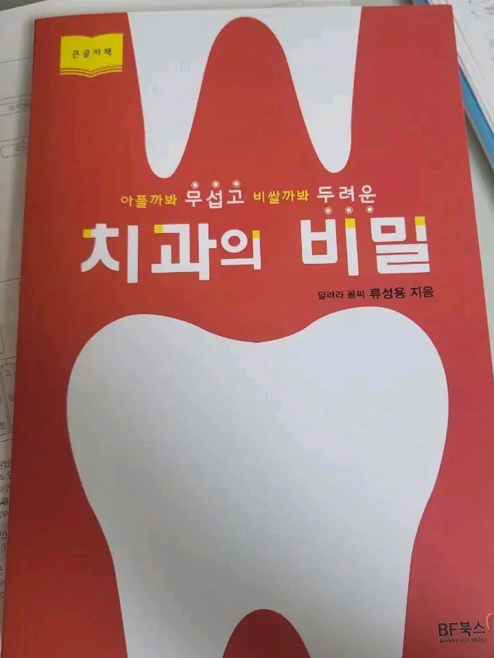 치과의 비밀