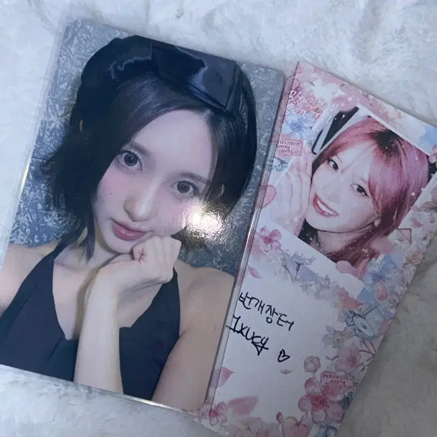 아이브 루시드드림 9월 일본 회장 가을