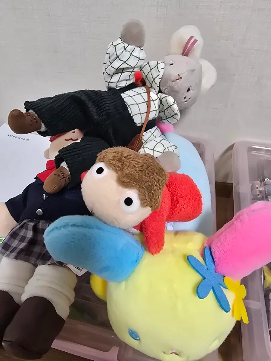 이사 때문에 비싼 정품 인형들 한번에 다 팔아요!