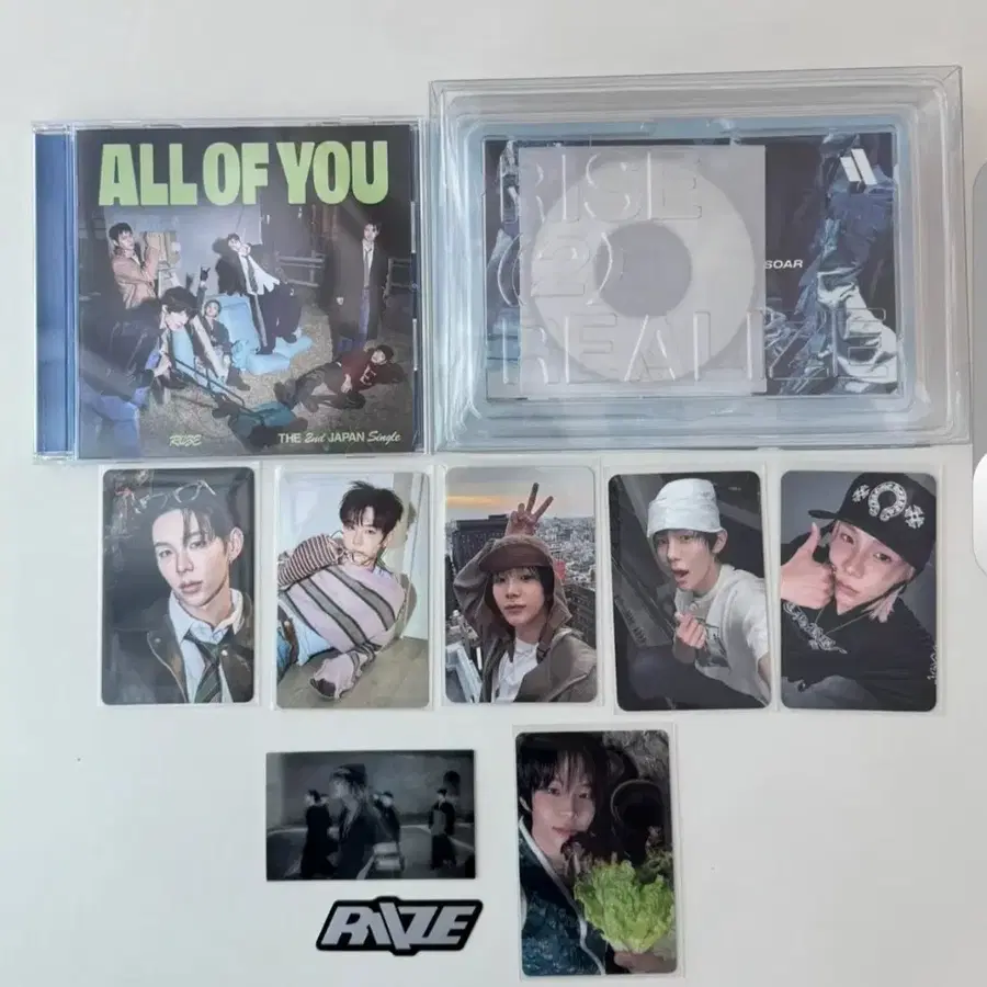 라이즈 앨범+쇼타로포카
