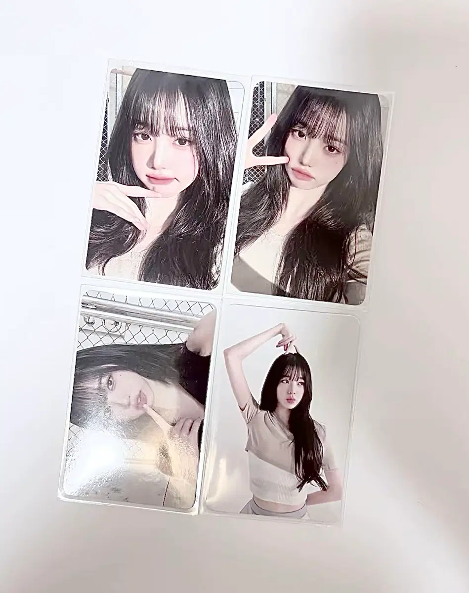 폭덤)아이브 마인 러브드아이브 장원영 포토카드