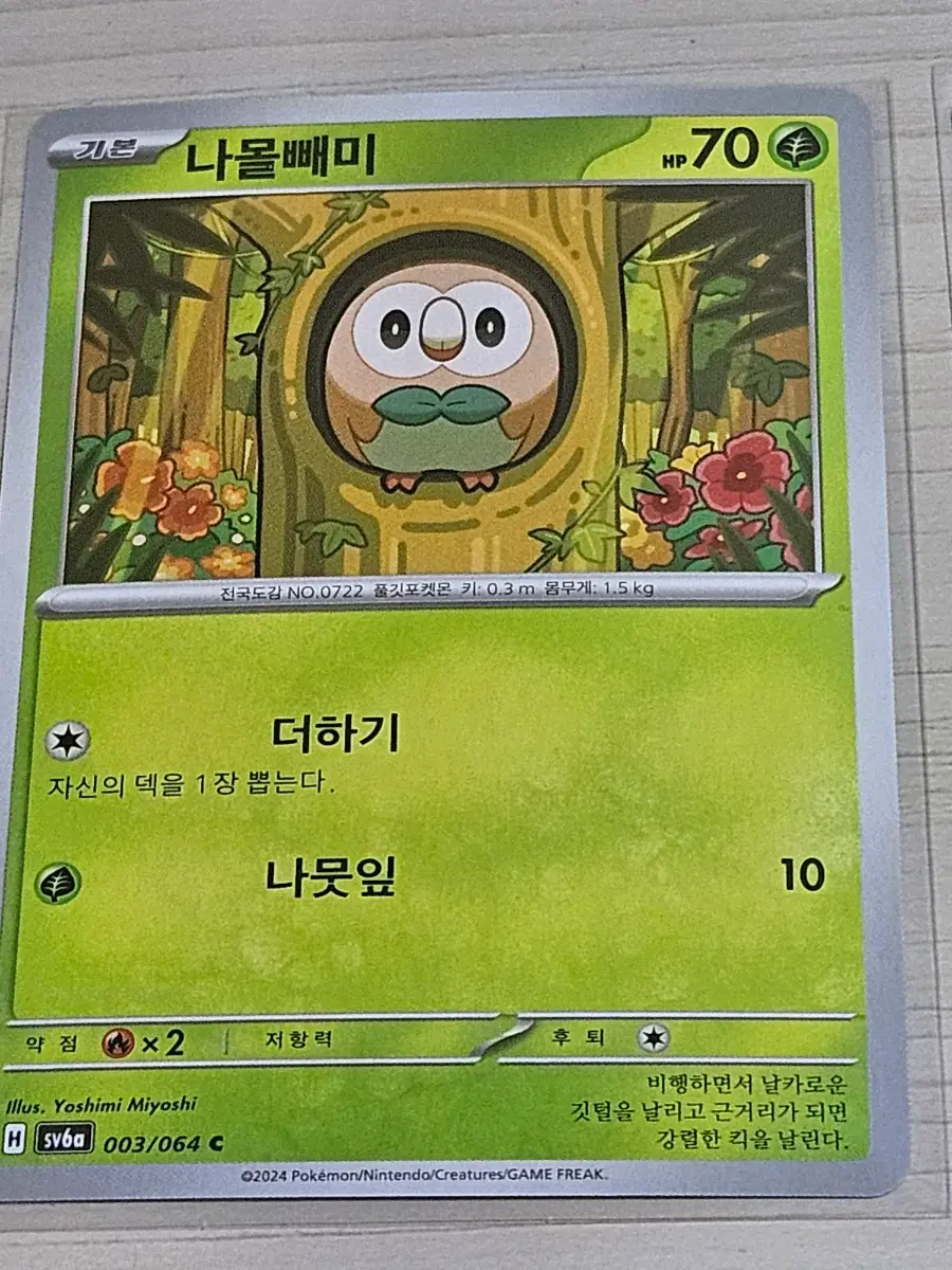 [최저가] 포켓몬 카드 나몰빼미