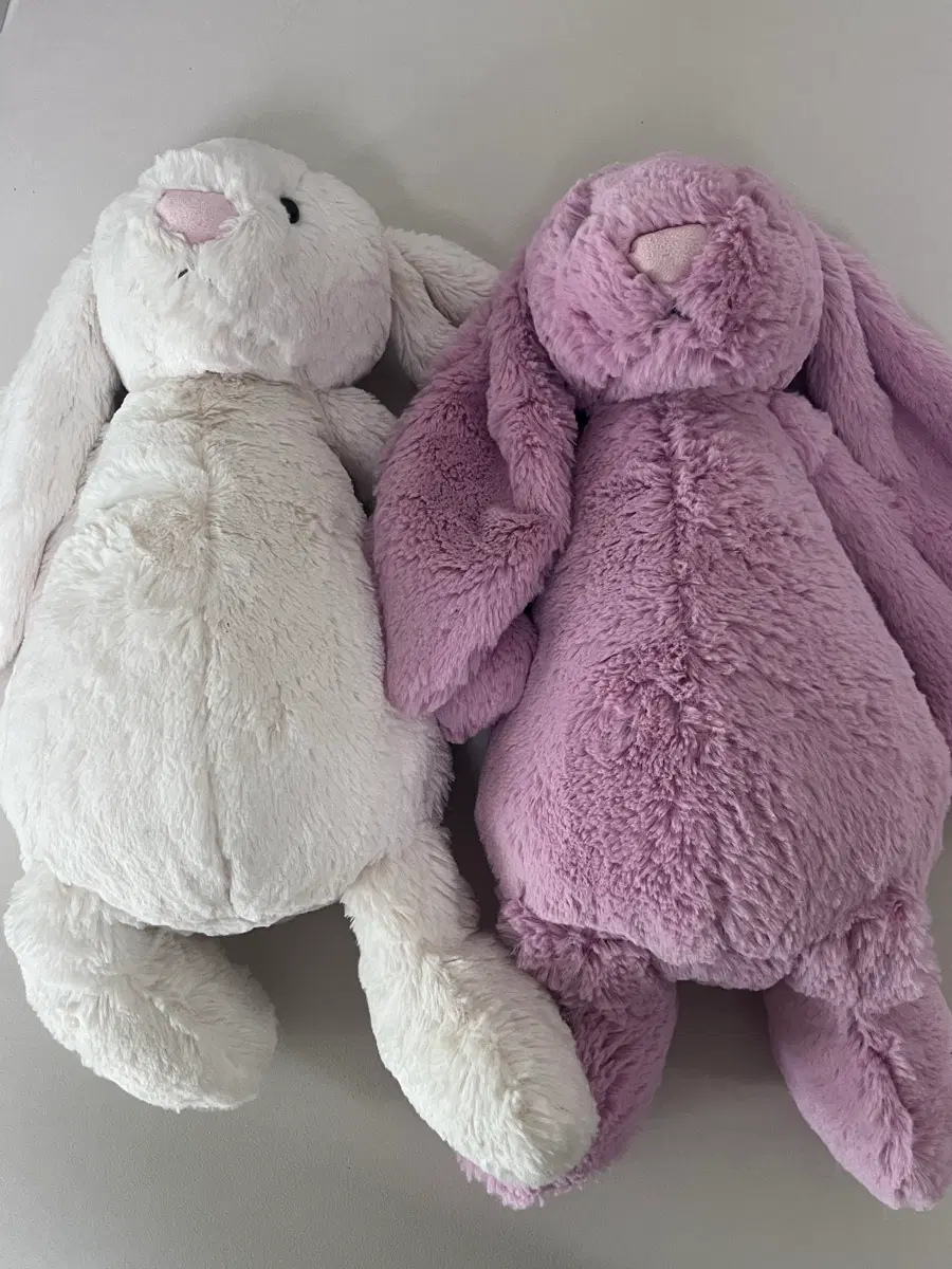 jellycat 젤리캣버니L