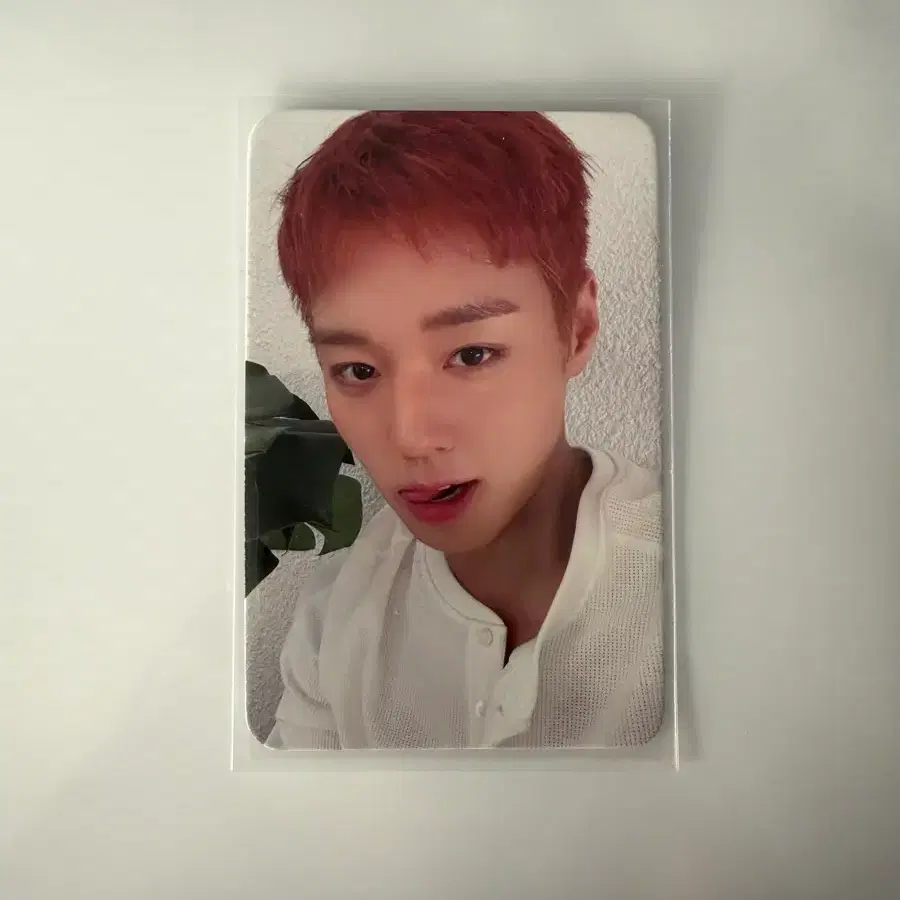 박지훈 리플렉트 앨범 케이팝투게더 특전 포카