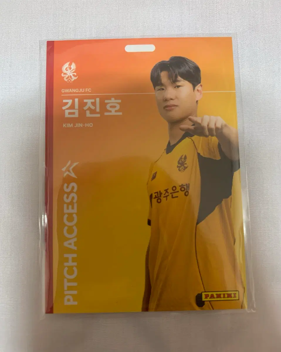 광주 FC 김진호 선수카드