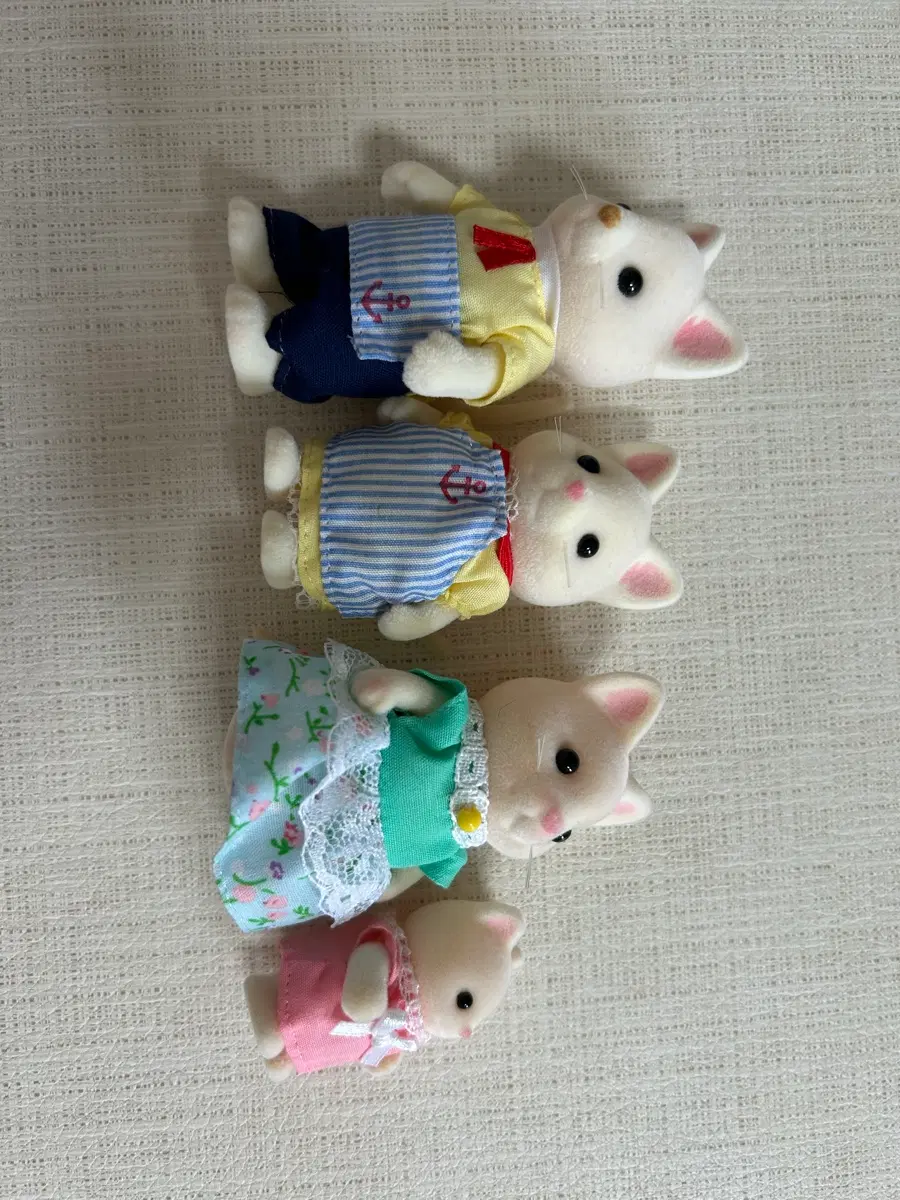 실바니안 고양이 가족