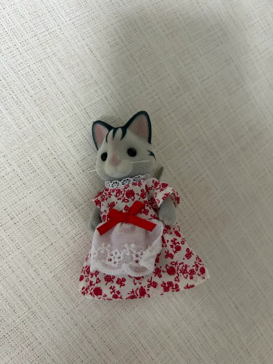 실바니안 고양이