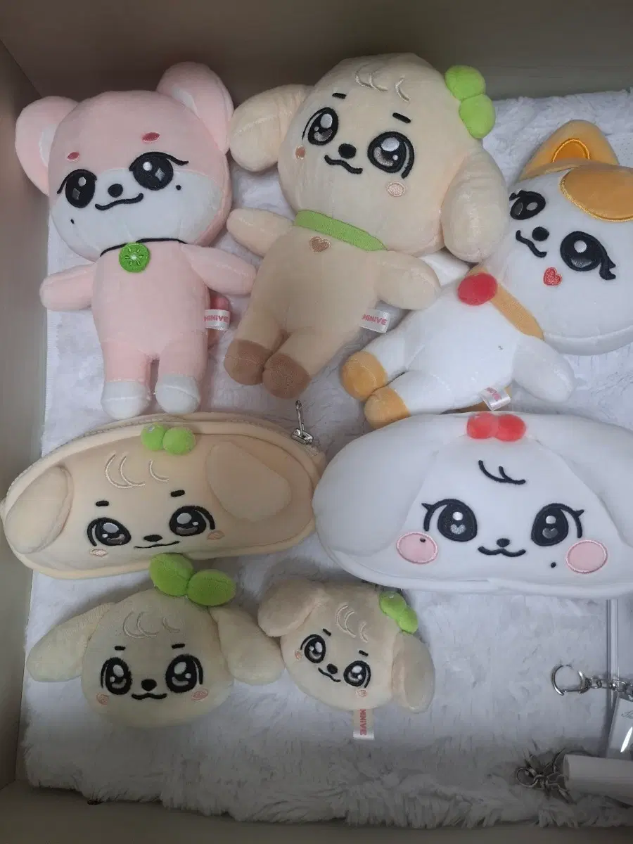 미니브 팔아요!