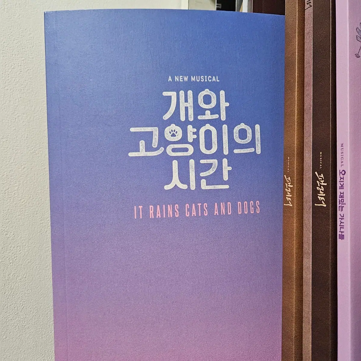 개와 고양이의 시간 댕냥시 포토북
