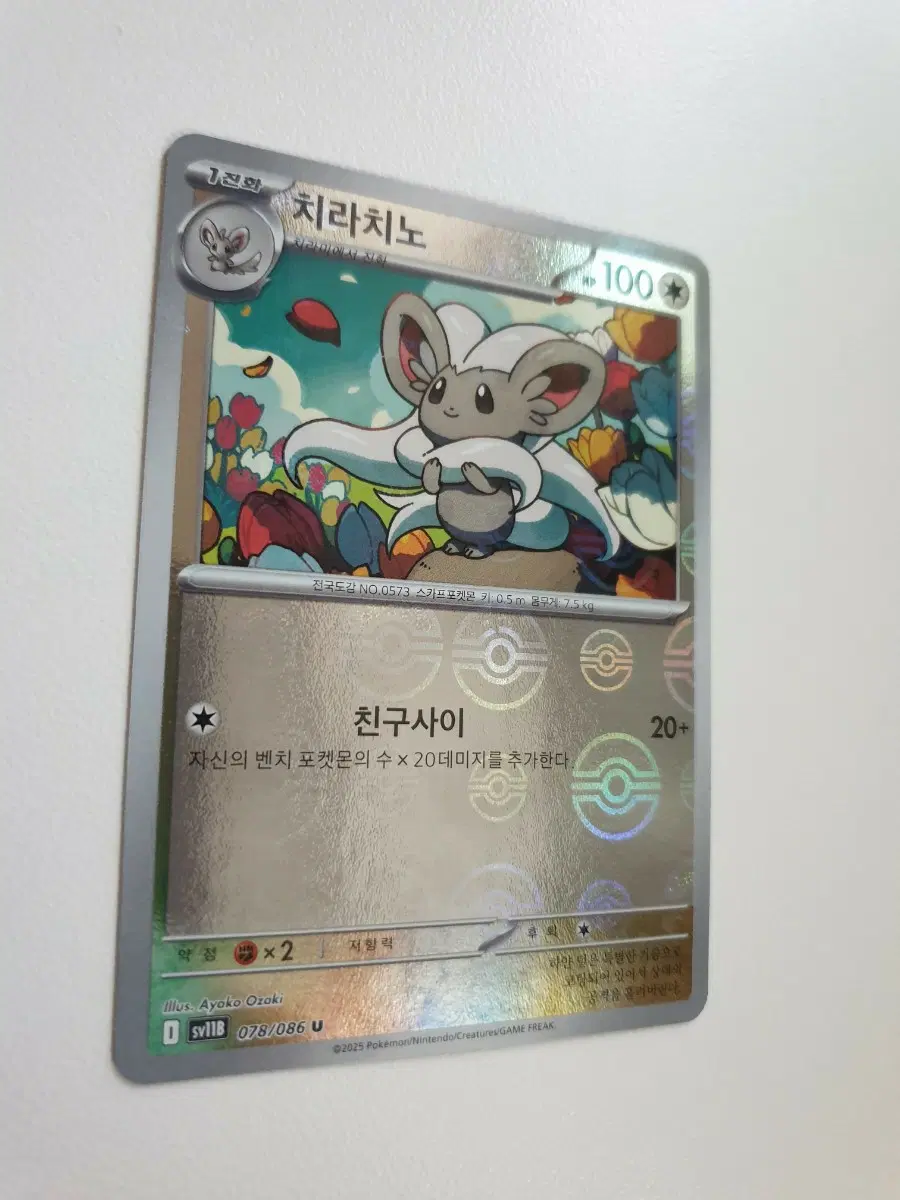 치라치노 몬스터볼 포켓몬카드