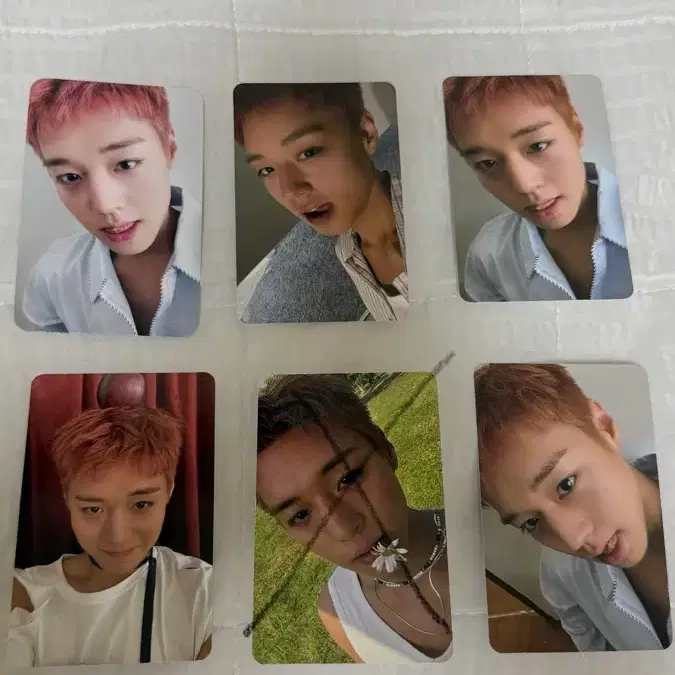 박지훈 포카