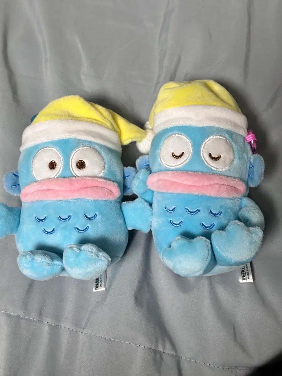 한교동