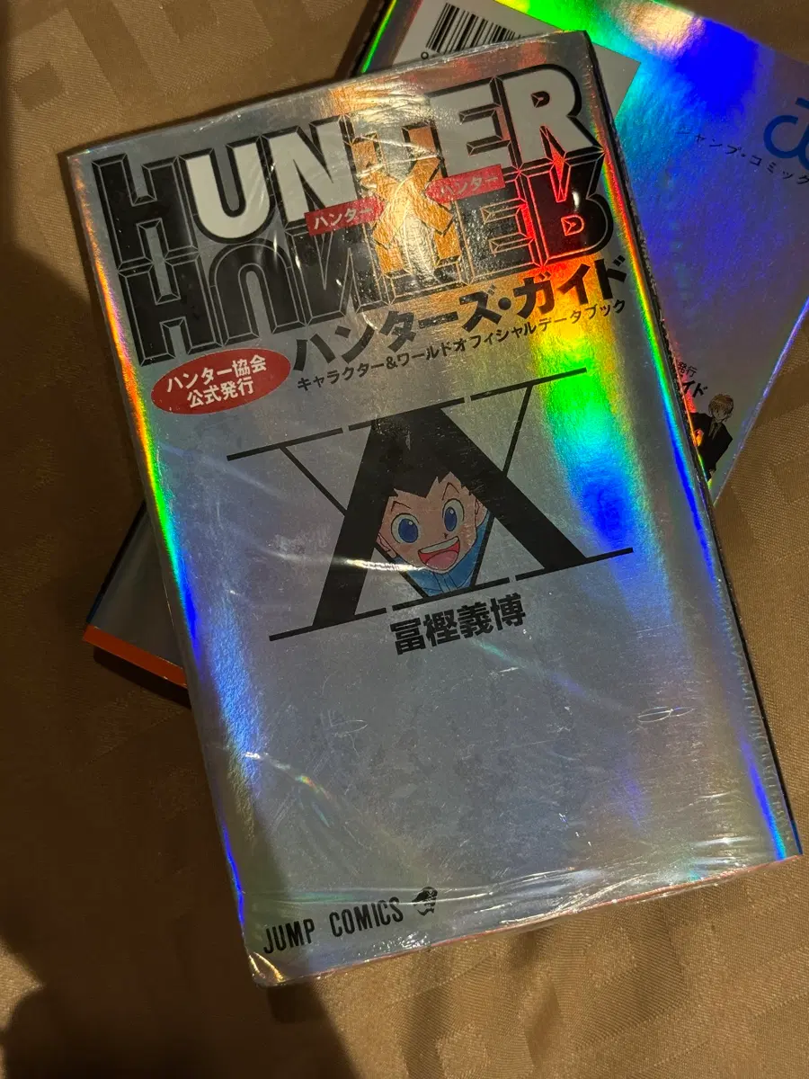 헌터헌터 헌터 가이드북 키르아 곤 히소카