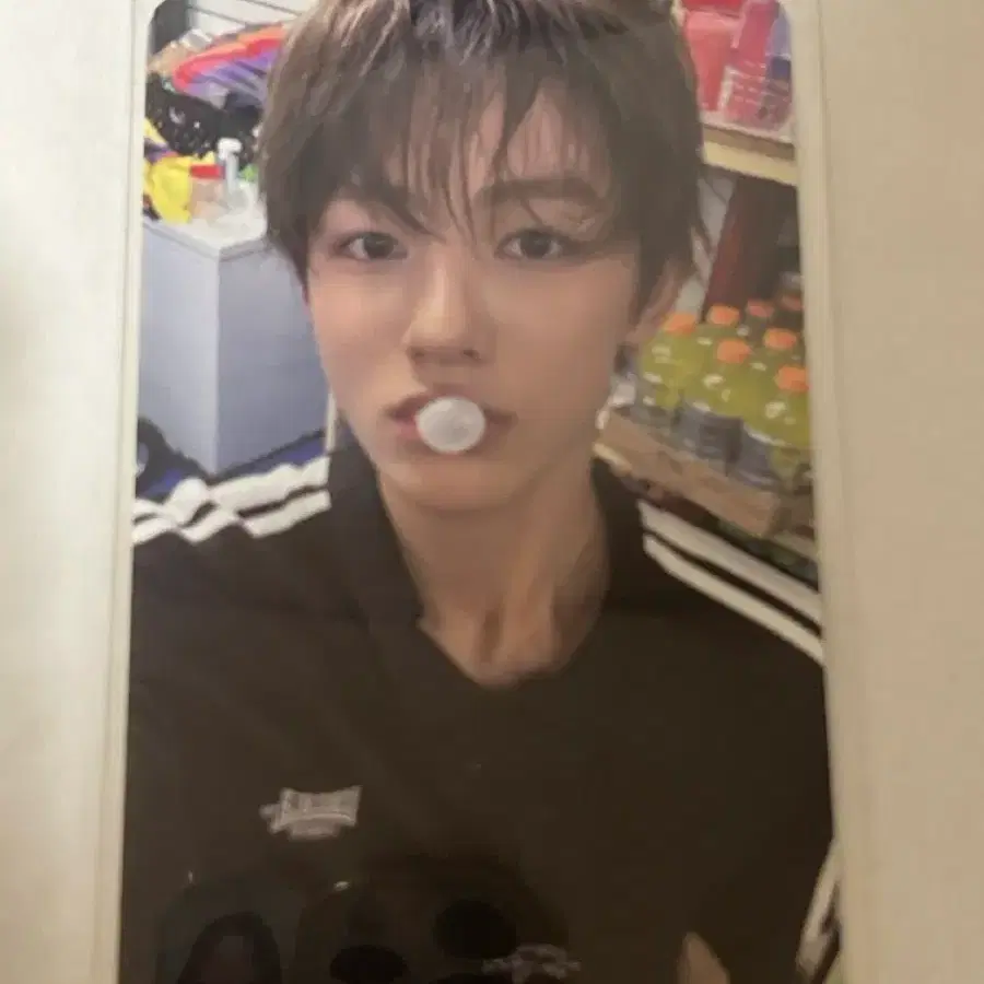 비트로드 성현 코르티스