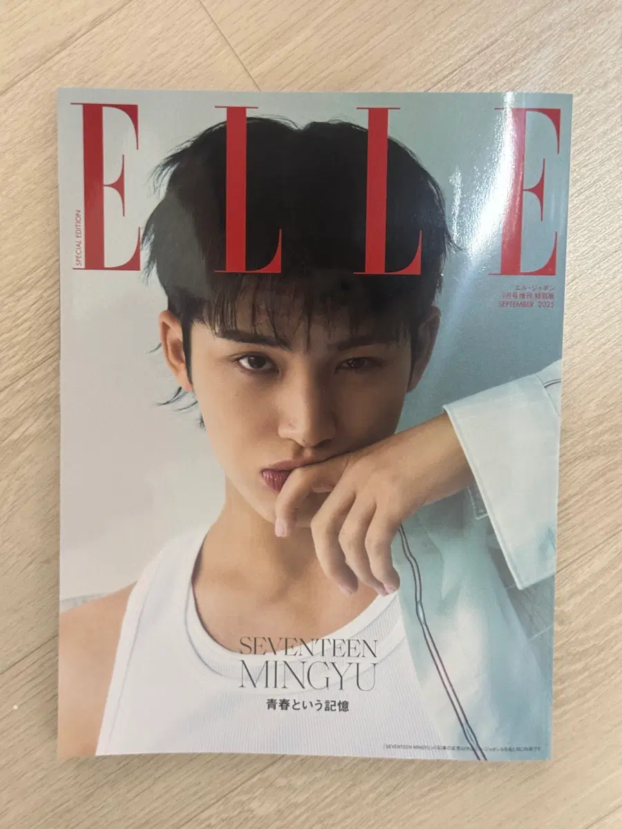 세븐틴 민규 엘르 잡지