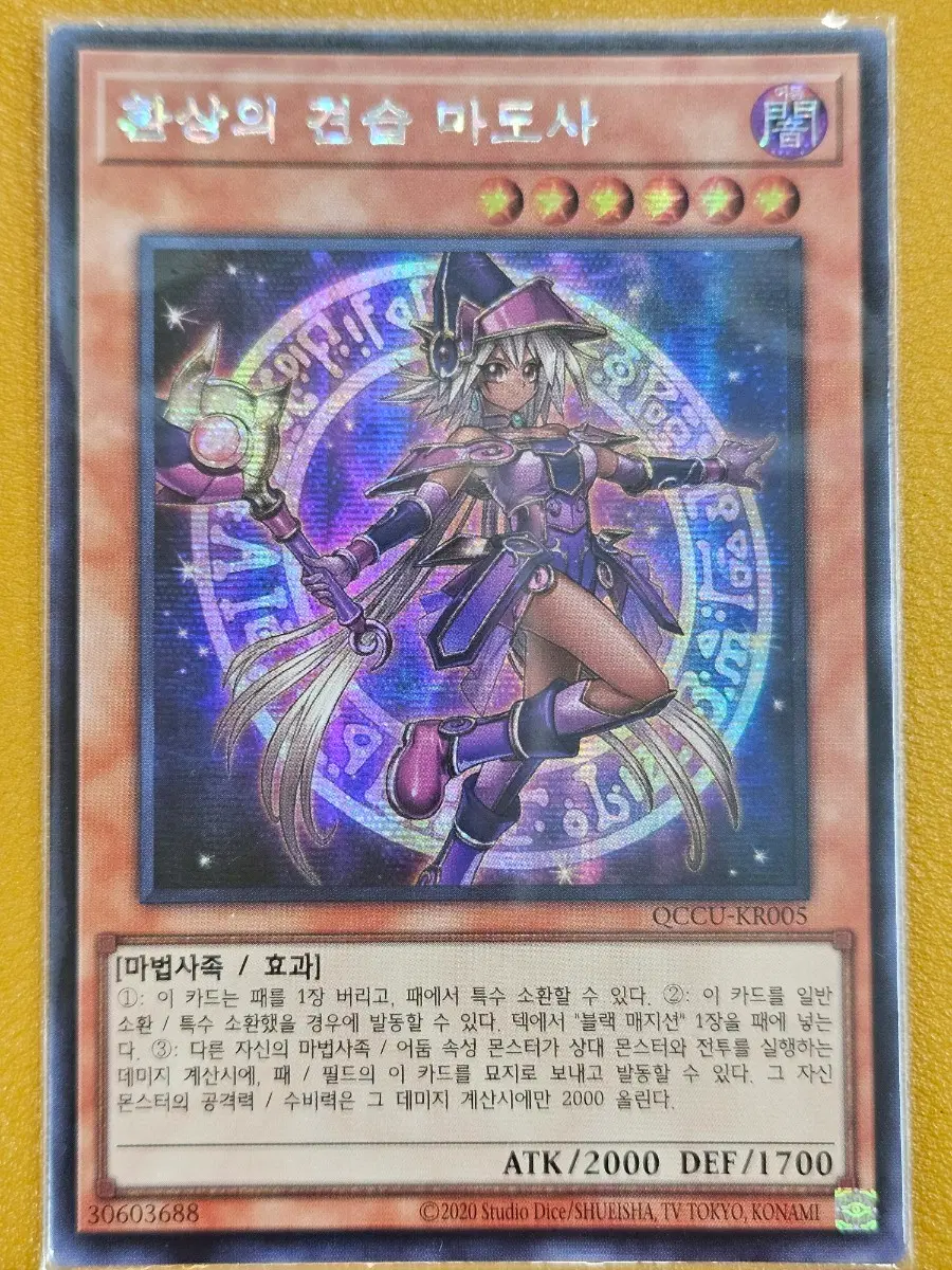 유희왕 환상의 견습 마도사 SE (시크)