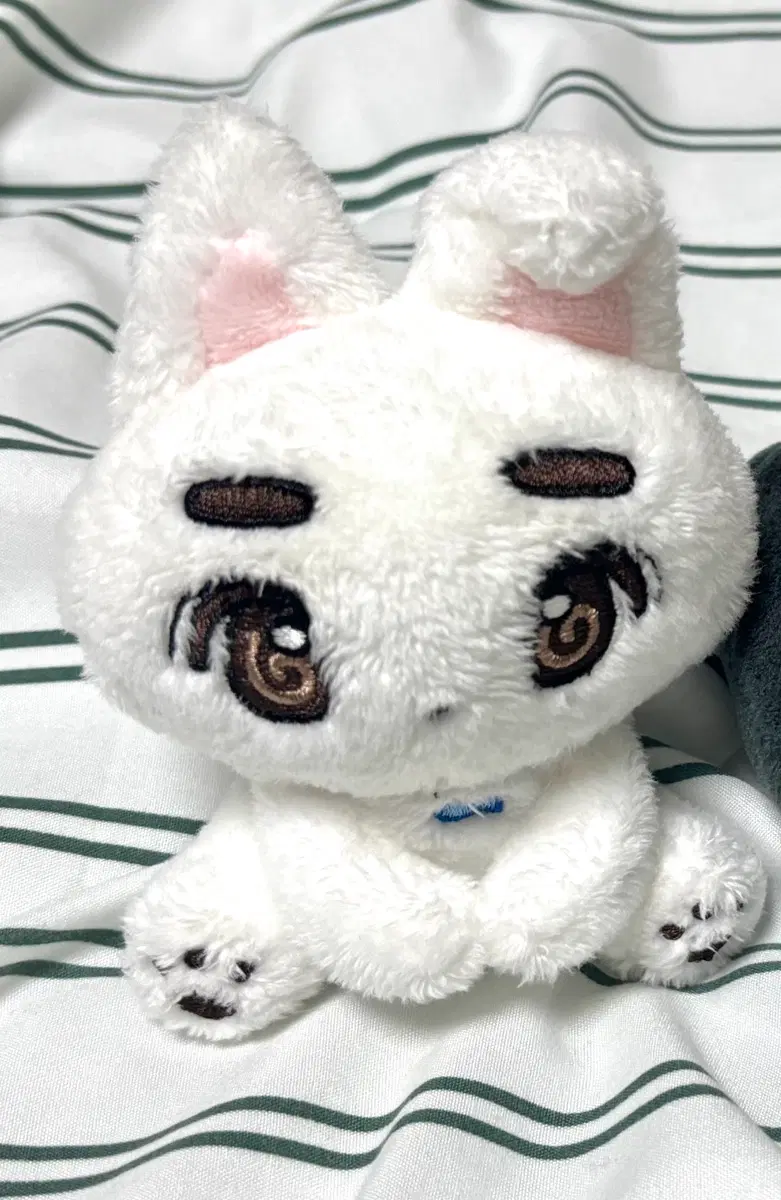보넥도 이한 인형 삐넥도 뭉한이