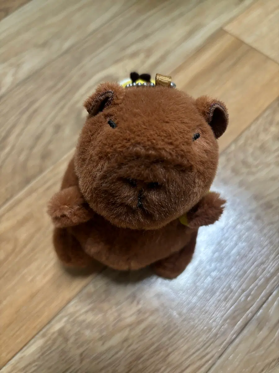 카피바라 인형+미니 수첩