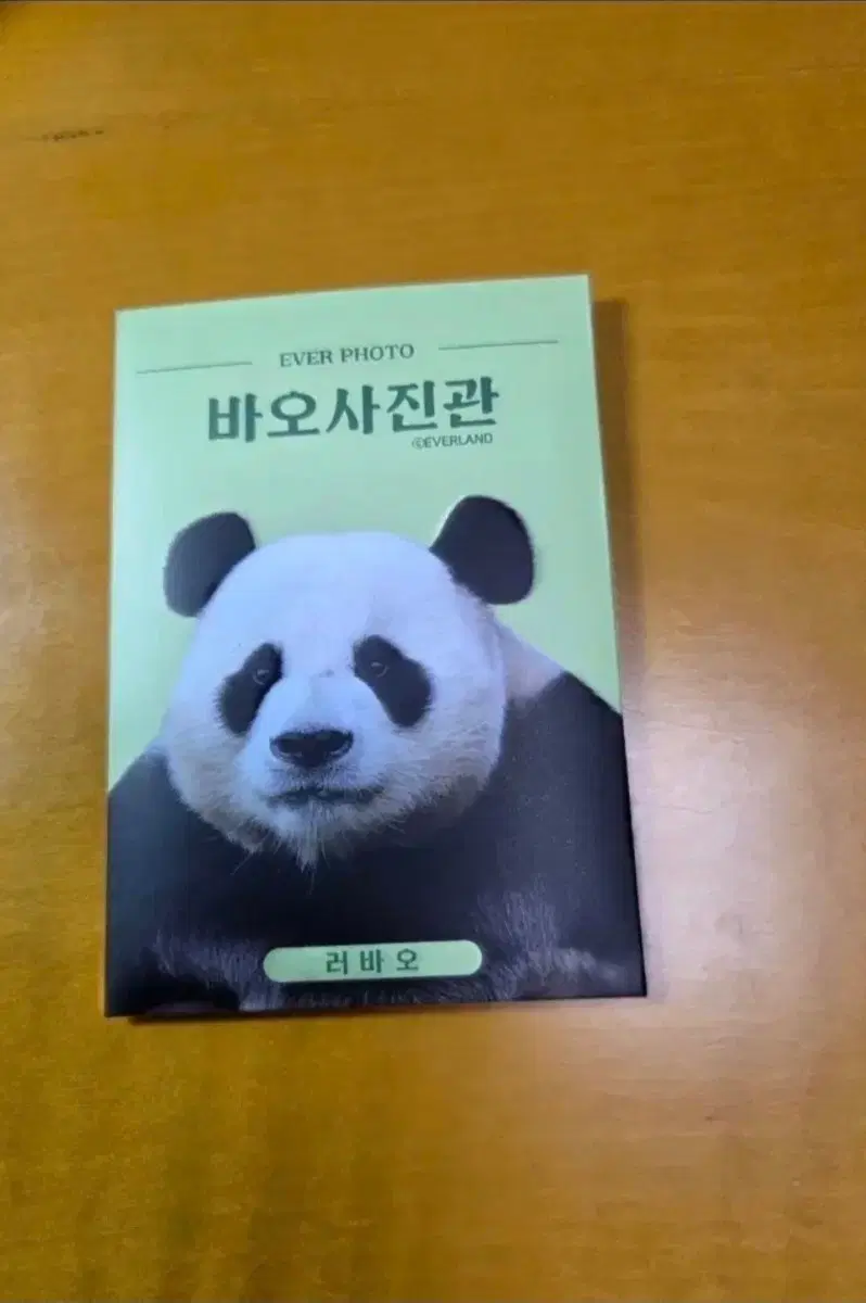 에버랜드 바오패밀리 바오 사진관 증명사진 스티커 러바오