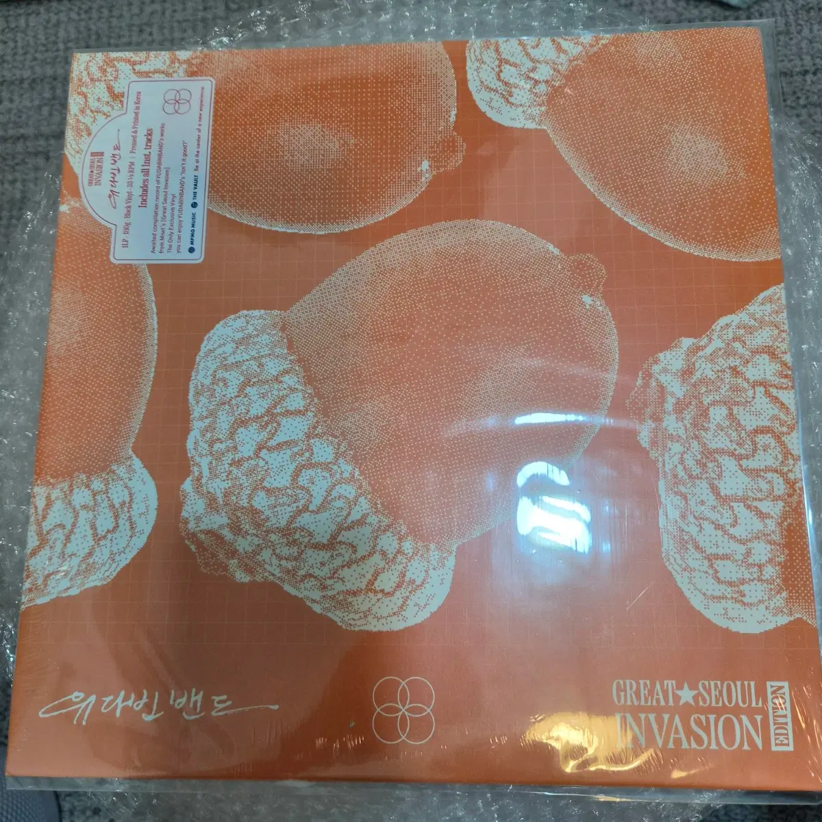 유다빈밴드 GSI 에디션 LP