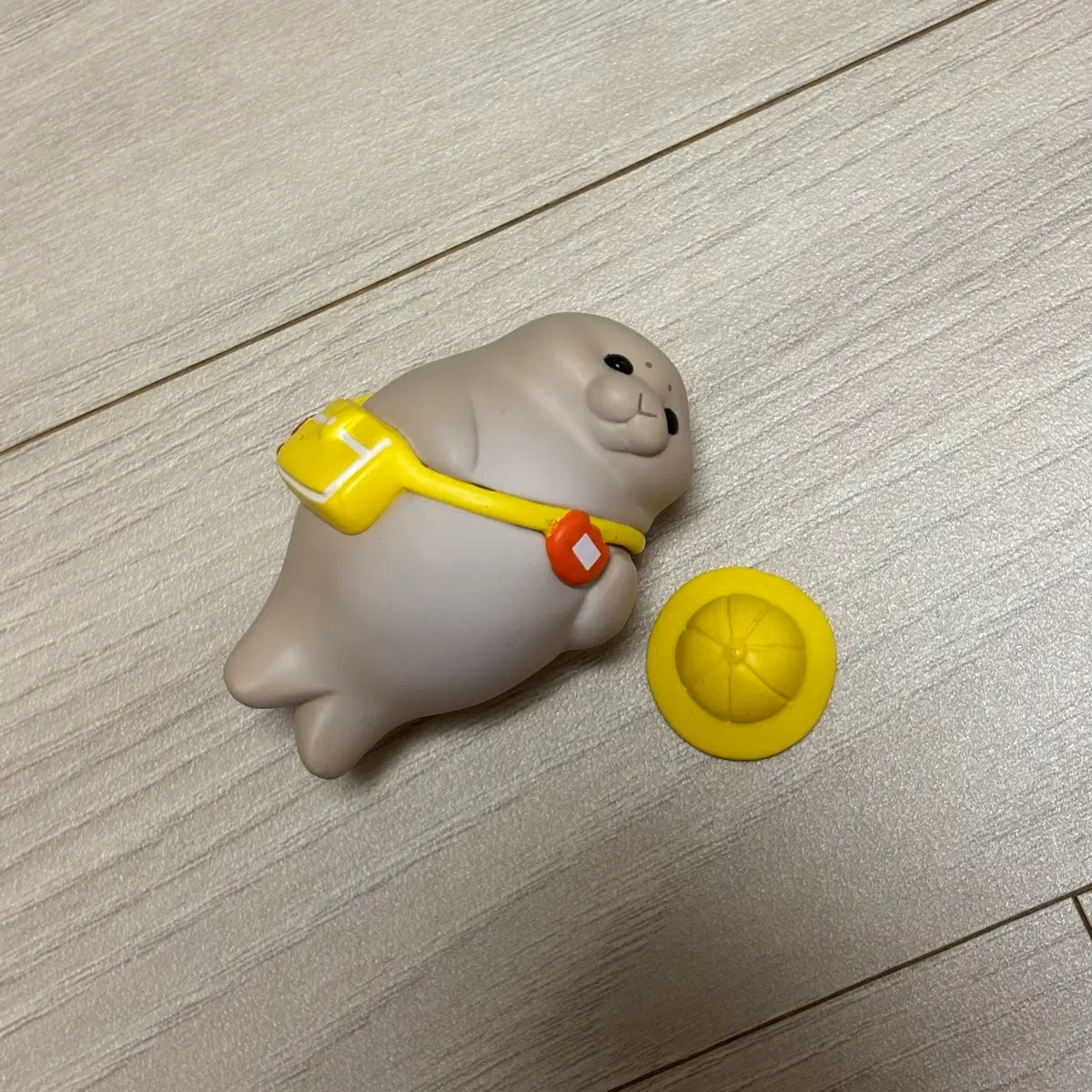 유치원 다니는 물범 물개 가챠