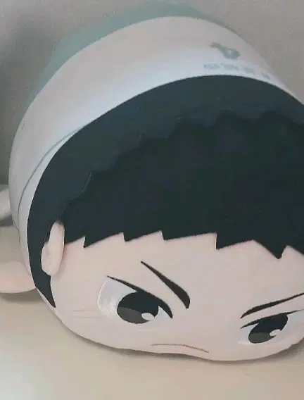 이와이즈미 빅포테토누이 판매