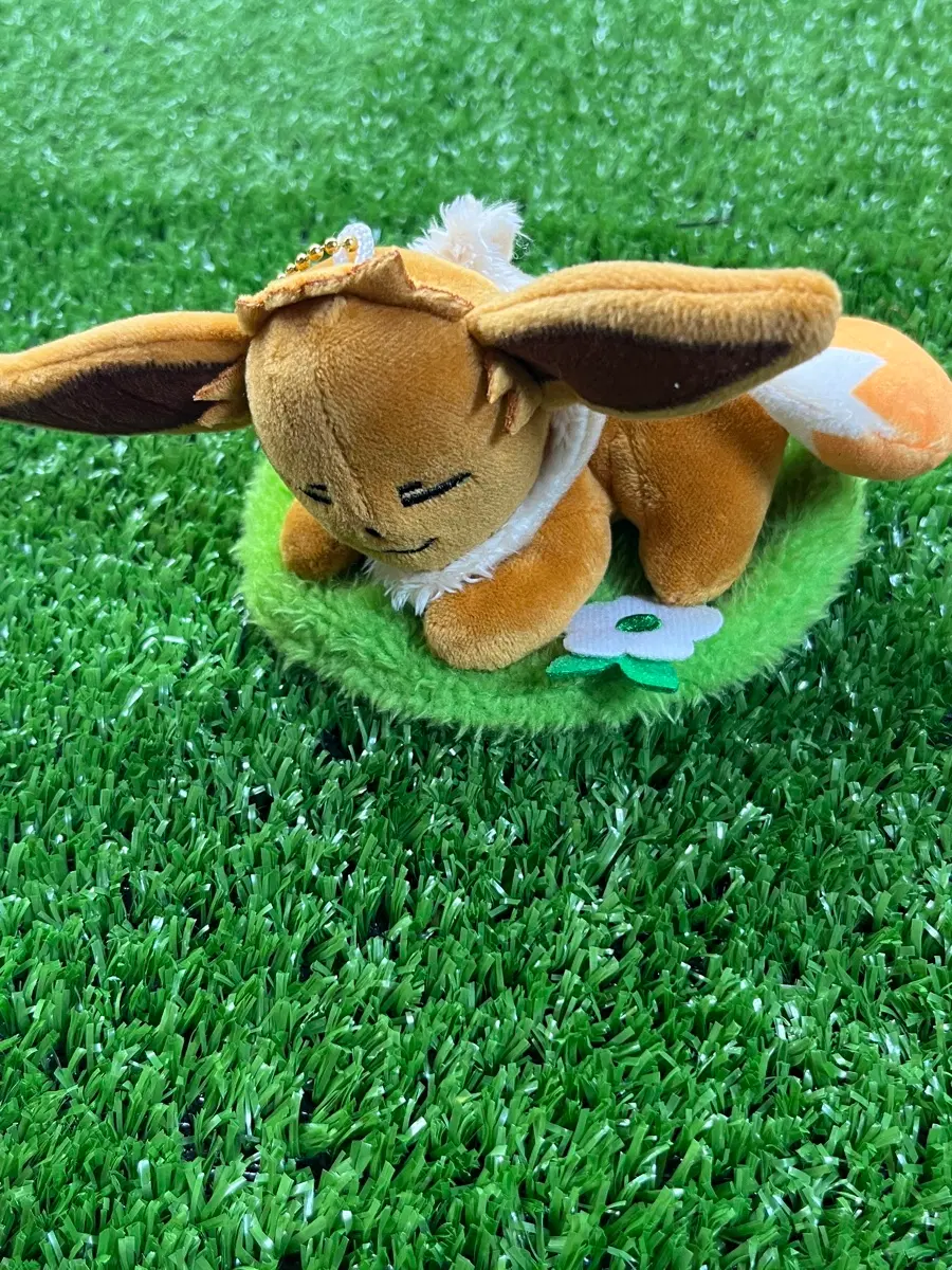 이브이 인형 잔디밭