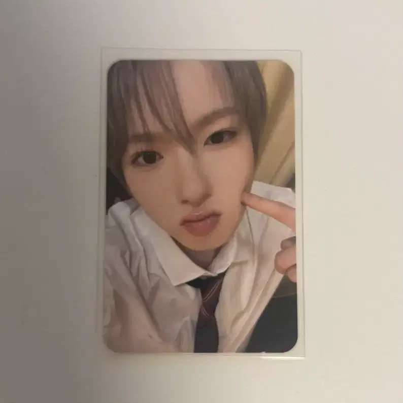 엔시티 위시 사쿠야 포카 양도