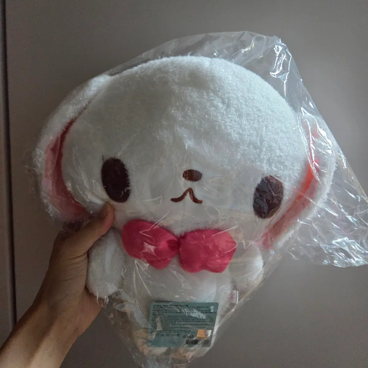 새상품)산리오 슈가바니즈 봉제인형 시로우사 선물용 조카 딸