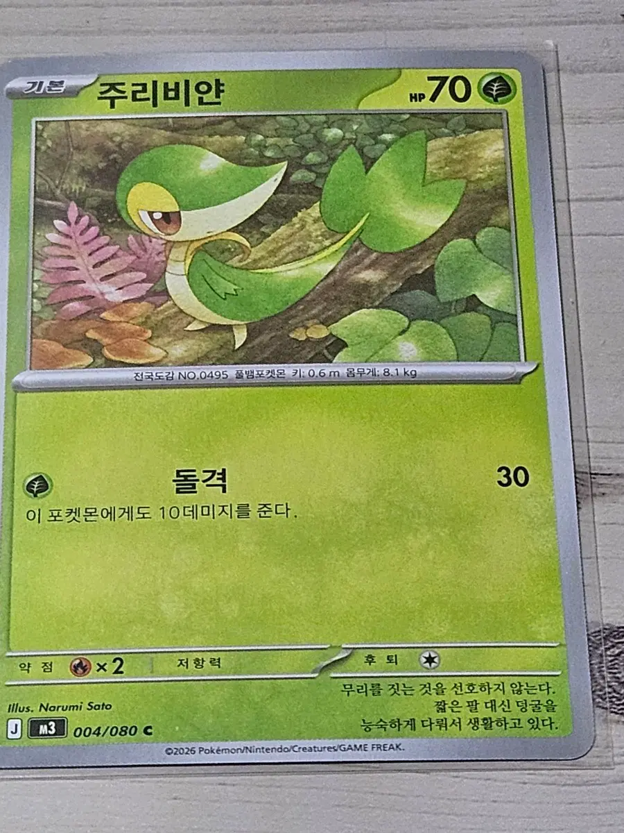 [최저가] 포켓몬 카드 주리비얀