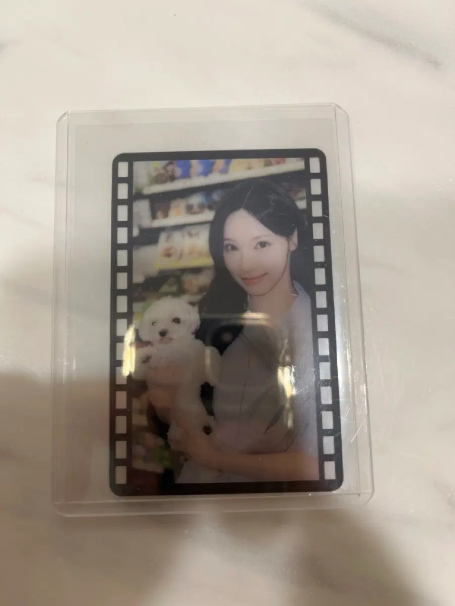 리센느빵 포카 원이,원이&제나