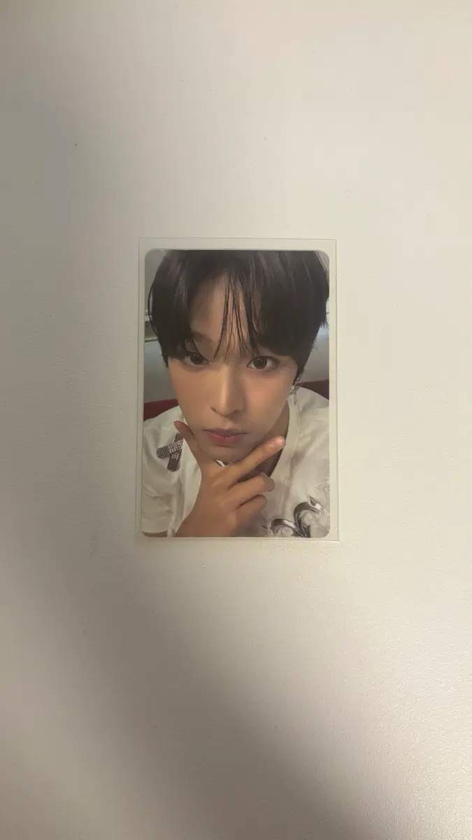 엔시티 위시 리쿠 포카 양도