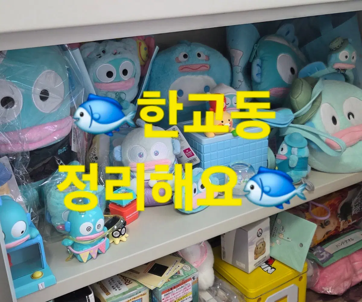 한교동 정리해요!! 2탄