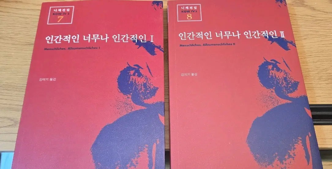 니체 인간적인 너무나 인간적인 I, II 세트