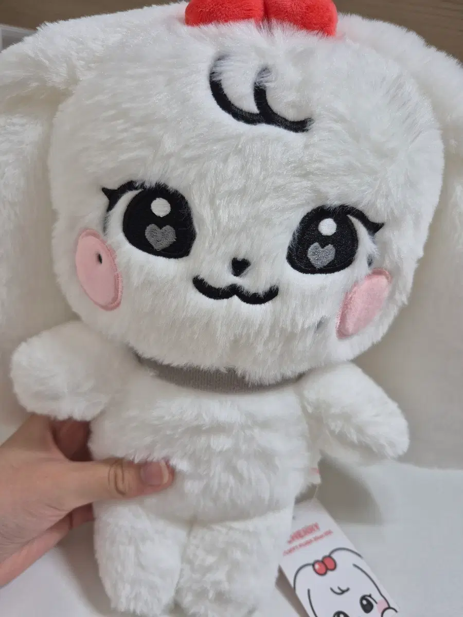 아이브 미니브 30cm 체리