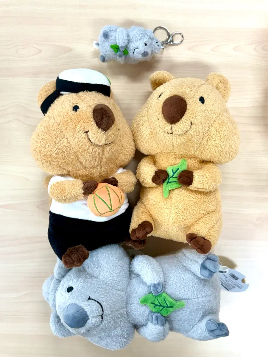 Quokka 잎사귀 쿼카 마멋 뉴트리아 햄스터 카피바라 중형인형뽑기인형 새상품 일괄
