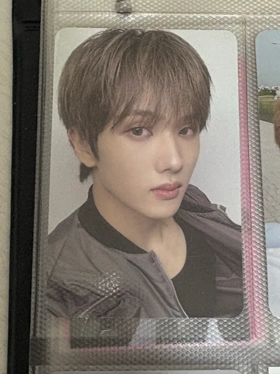 지성 드림이스케이프