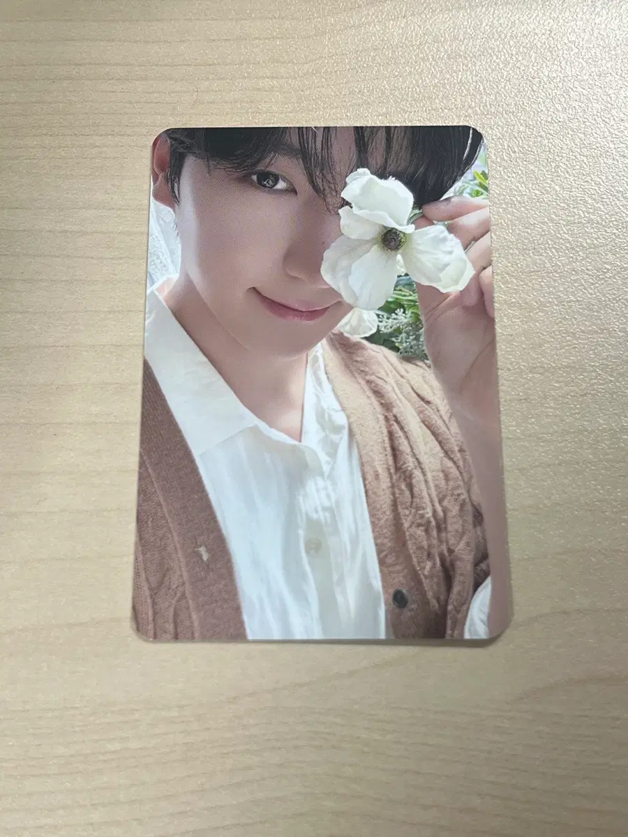 더보이즈 현재 포카