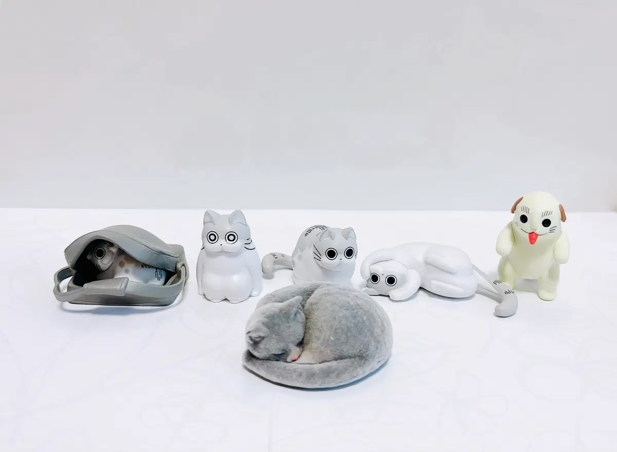 고양이 큐르가 외 일괄 팝니다