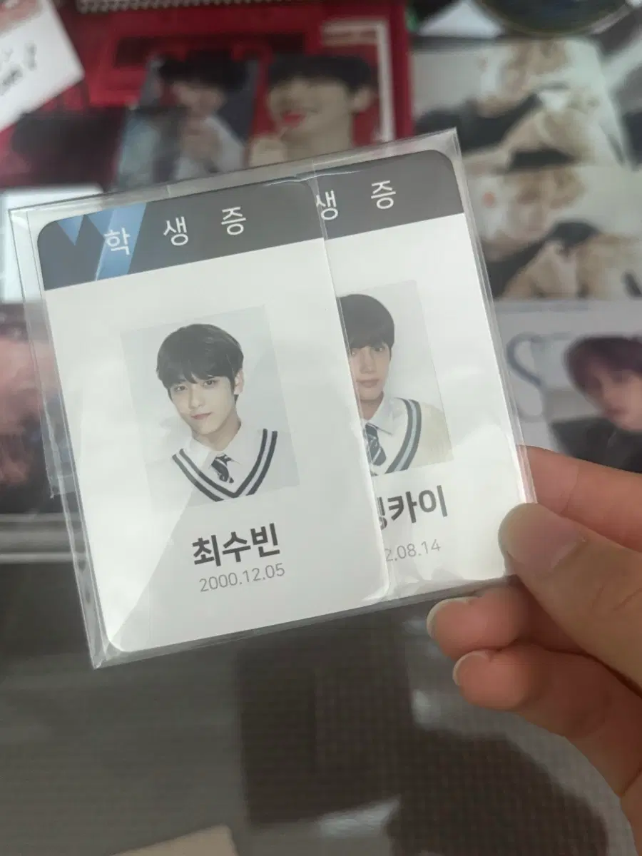 투바투 학생증 판매(일괄)