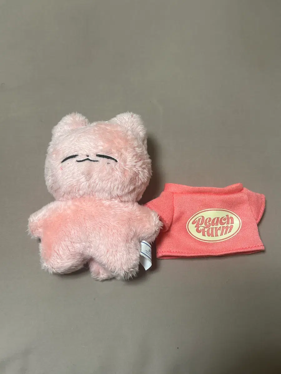 잰냥이 10cm 인형 양도