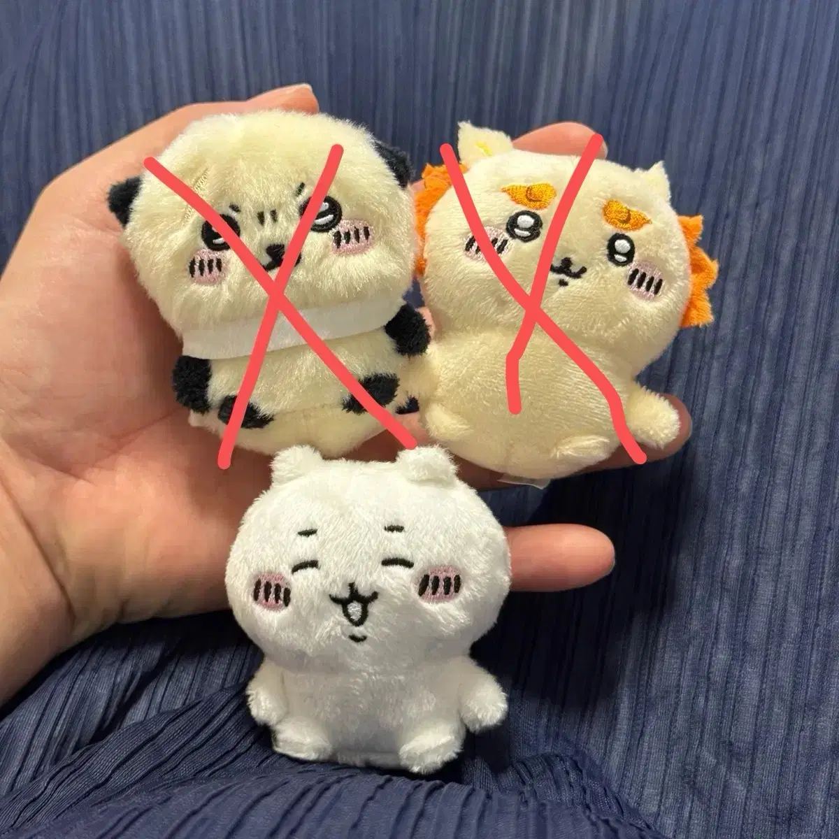 앉은누이 구버전 (치이카와)
