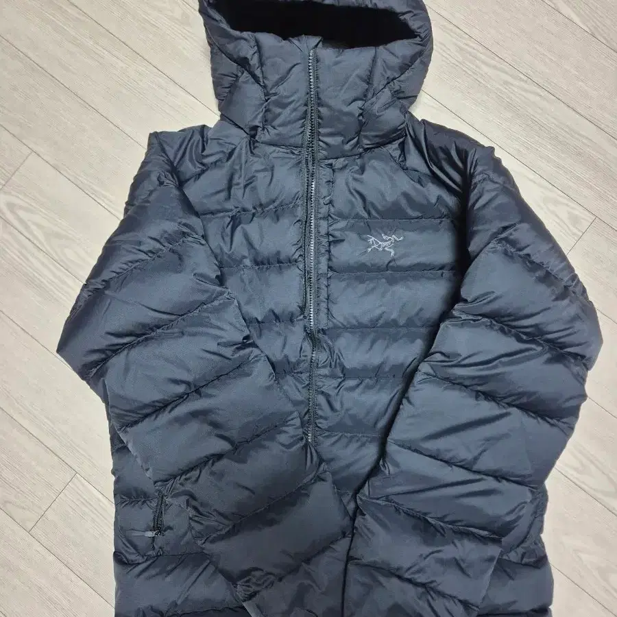 아크테릭스 토륨 후디(L)