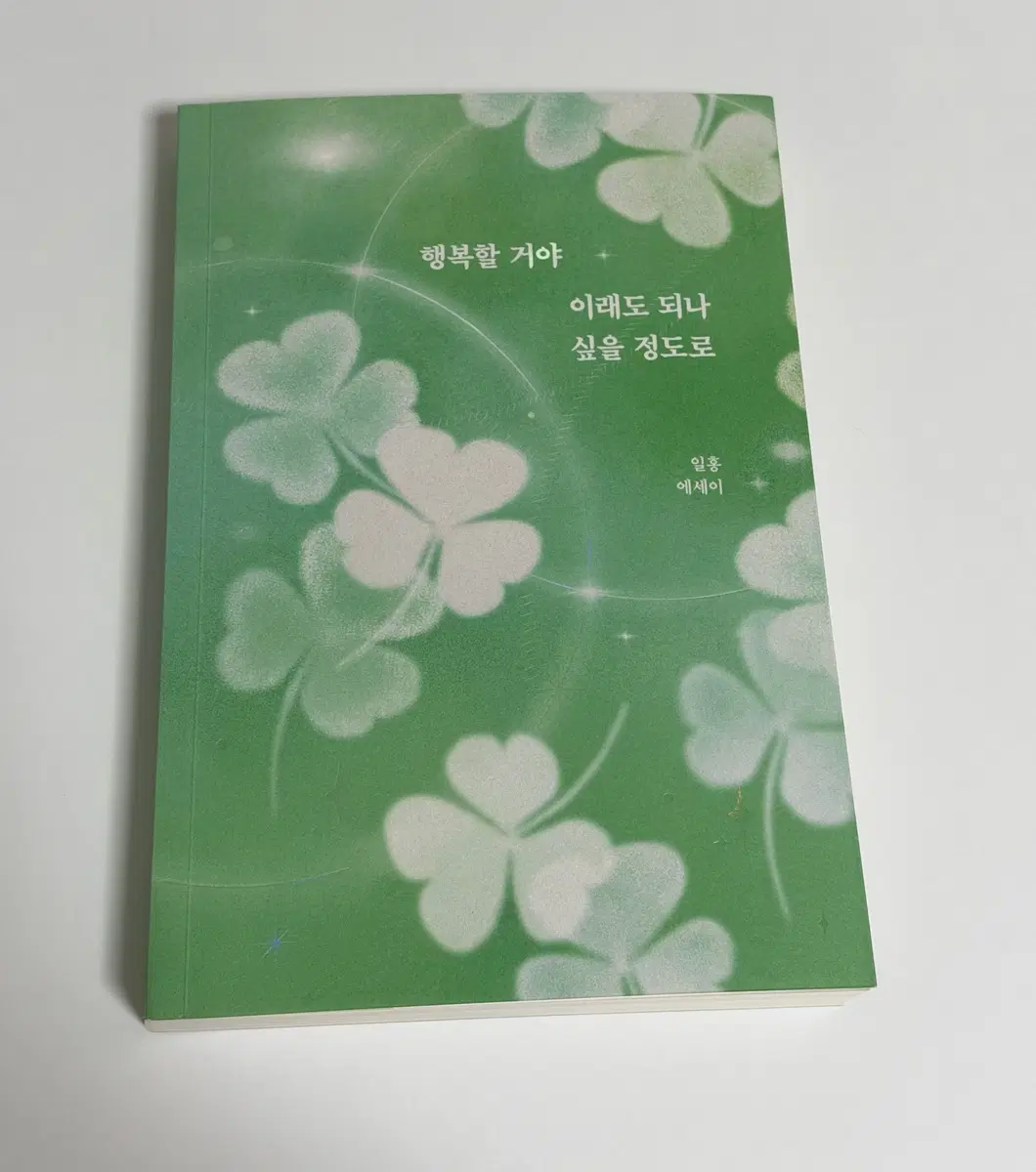 행복할거야 이래도 되나 싶을 정도로