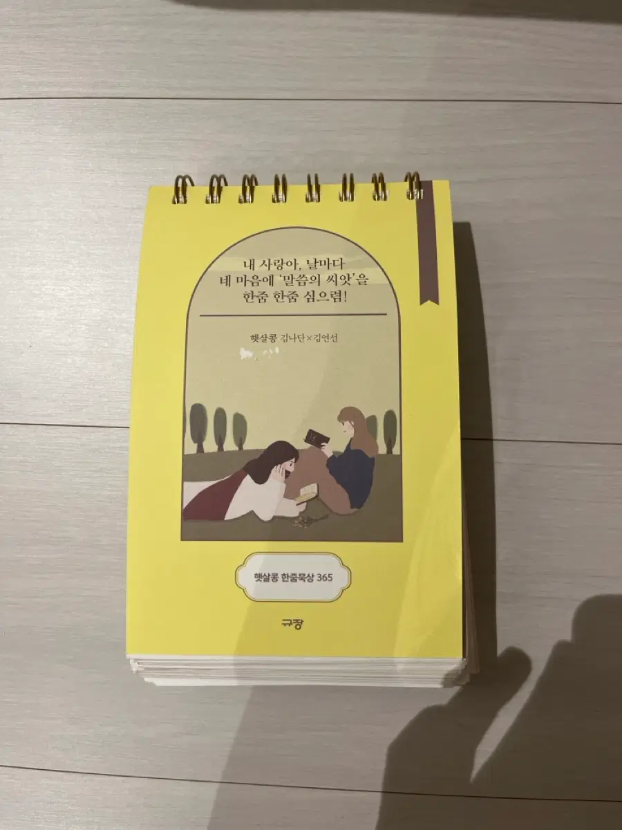 햇살콩 한줌묵상 365 노트